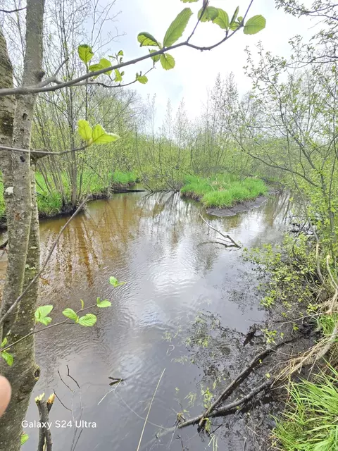 View/Area - 10559 Millbrook, Blanchard, MI 49310 photo 3 of 19
