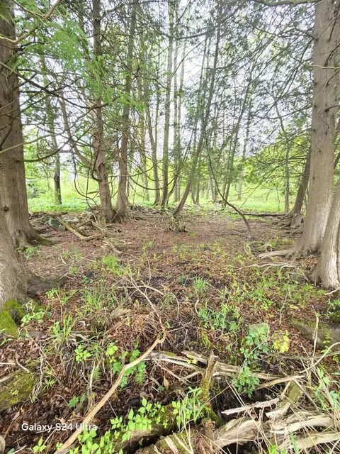 Other - 10559 Millbrook, Blanchard, MI 49310 photo 16 of 27