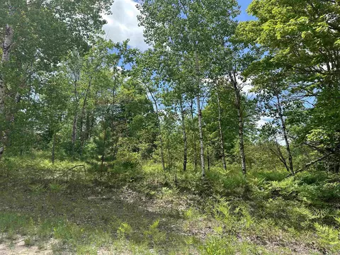 00 Wrenwood #LOT : 973, Elmira, MI 49730