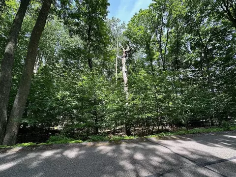 32 Golf Mdws, Bellaire, MI 49615