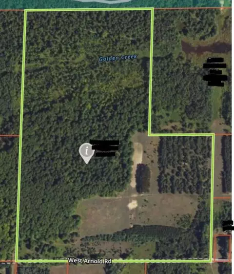 W Arnold, Manton, MI 49663