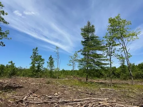 0 E Cranberry Lk, Harrison, MI 48625 photo 3