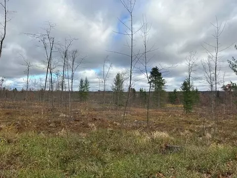 0 E Cranberry Lk, Harrison, MI 48625 photo 6