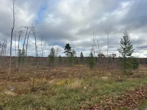 0 E Cranberry Lk, Harrison, MI 48625 photo 4