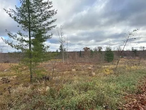 0 E Cranberry Lk, Harrison, MI 48625 photo 7