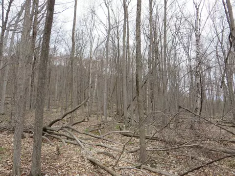 S Dune, Empire, MI 49630 photo 4
