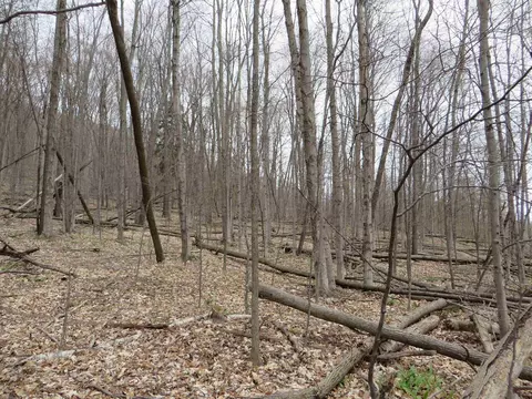 S Dune, Empire, MI 49630 photo 3