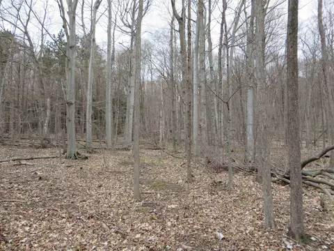 S Dune, Empire, MI 49630 photo 2