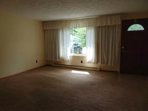 Living - 221 S Brown, Ithaca, MI 48847 photo 3 of 6