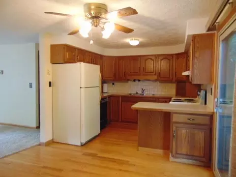Kitchen - 221 S Brown, Ithaca, MI 48847 photo 1 of 4