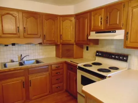 Kitchen - 221 S Brown, Ithaca, MI 48847 photo 4 of 4