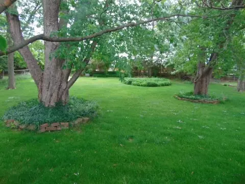 Exterior - 221 S Brown, Ithaca, MI 48847 photo 5 of 8