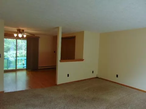 Living - 221 S Brown, Ithaca, MI 48847 photo 4 of 6