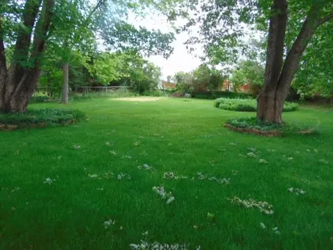 Exterior - 221 S Brown, Ithaca, MI 48847 photo 3 of 8