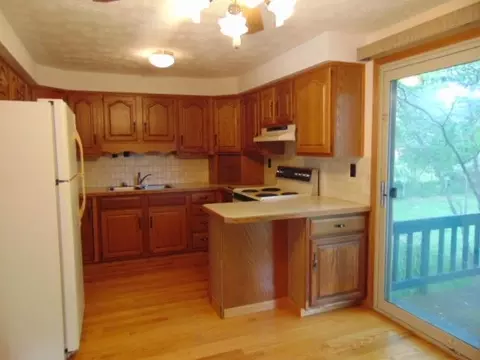 Kitchen - 221 S Brown, Ithaca, MI 48847 photo 2 of 4
