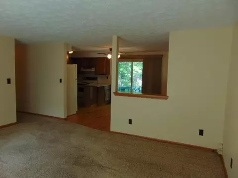 Living - 221 S Brown, Ithaca, MI 48847 photo 5 of 6