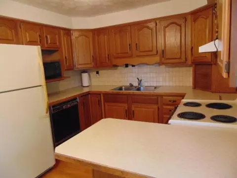 Kitchen - 221 S Brown, Ithaca, MI 48847 photo 3 of 4