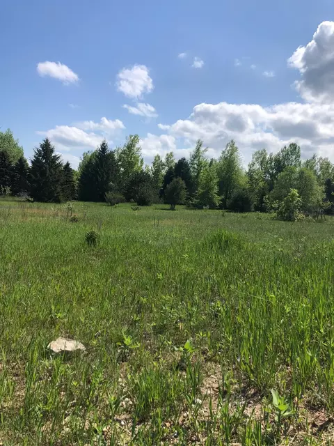 0 E Ridgecliff, Cedar, MI 49621