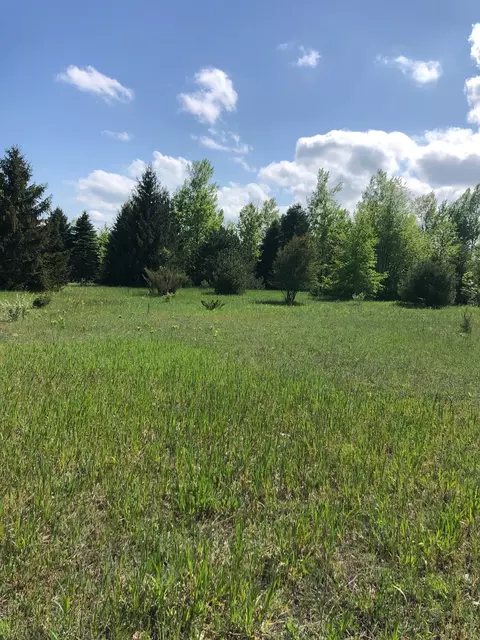 0 E Ridgecliff, Cedar, MI 49621 photo 2