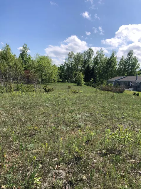 0 E Ridgecliff, Cedar, MI 49621 photo 5