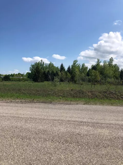 0 E Ridgecliff, Cedar, MI 49621 photo 8