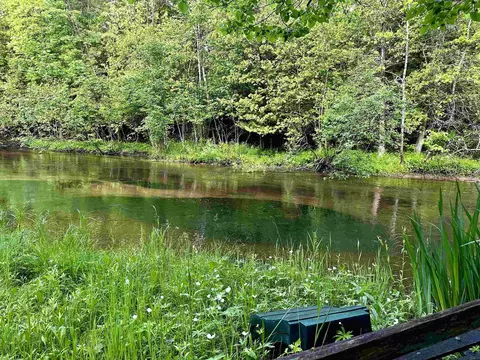 Lot 16 Pine Meadows, Thompsonville, MI 49683