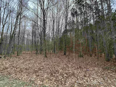 Vl 7 Schuss Mountain, Bellaire, MI 49615