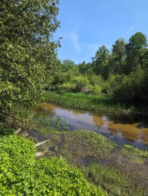9621 W Lotan #LOT : 35&36, Lake City, MI 49651