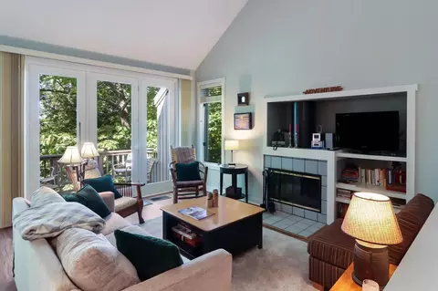 18 Brook # C, Glen Arbor, MI 49636