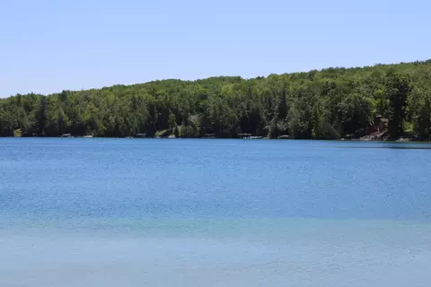 Merrill, Kalkaska, MI 49646