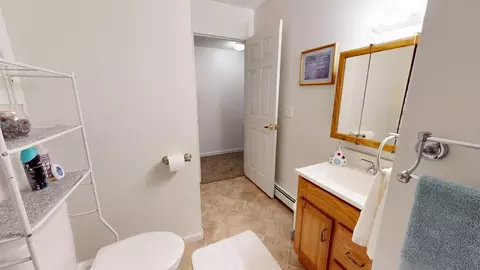 11272 S Harrison, Farwell, MI 48622 photo 28