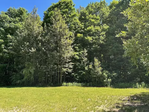Unit 128 Founders #: 128, Bellaire, MI 49615