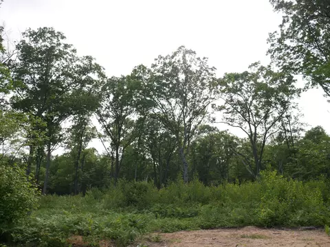 167 Sugar Riv, Gladwin, MI 48624 photo 5
