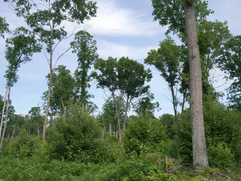 167 Sugar Riv, Gladwin, MI 48624 photo 7
