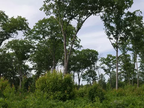 167 Sugar Riv, Gladwin, MI 48624 photo 9