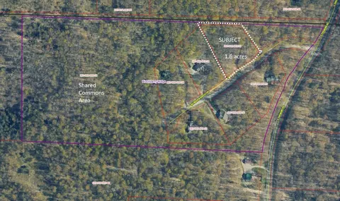 lot6 W Hidden Birch, Maple City, MI 49664