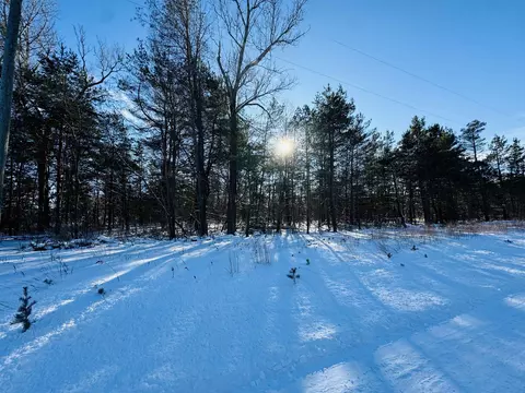 E 12, Manton, MI 49663 photo 5