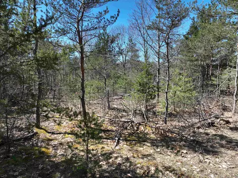 E 12, Manton, MI 49663 photo 27