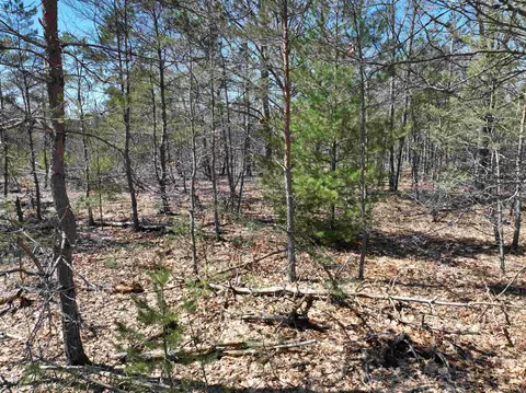 E 12, Manton, MI 49663 photo 25