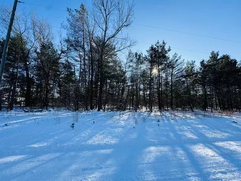E 12, Manton, MI 49663 photo 6