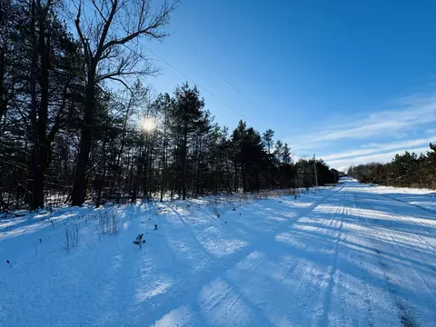 E 12, Manton, MI 49663 photo 4