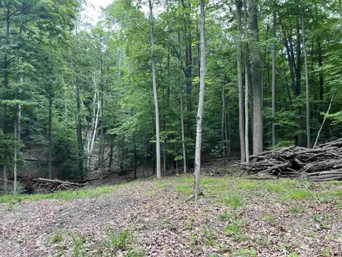 9995 Cedar Run, Traverse City, MI 49685