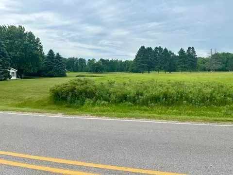 1011 Birdie #LOT : 317, Weidman, MI 48893