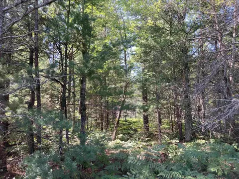 N/a Heath, West Branch, MI 48661