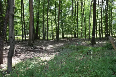 Tbd Hiawatha, Mount Pleasant, MI 48858