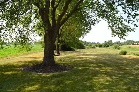 Exterior - 262 E Wing, Mount Pleasant, MI 48858 photo 14 of 22