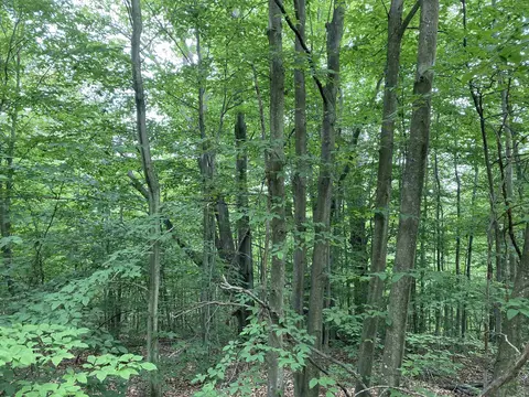 N/a Brenda, Lupton, MI 48635 photo 4
