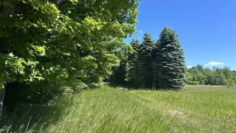 331 Kleehammer Clb #LOT : 20, Kalkaska, MI 49646