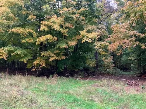 E W County Line, Buckley, MI 49643