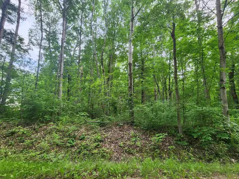 00 Pineview, Harrison, MI 48625 photo 12
